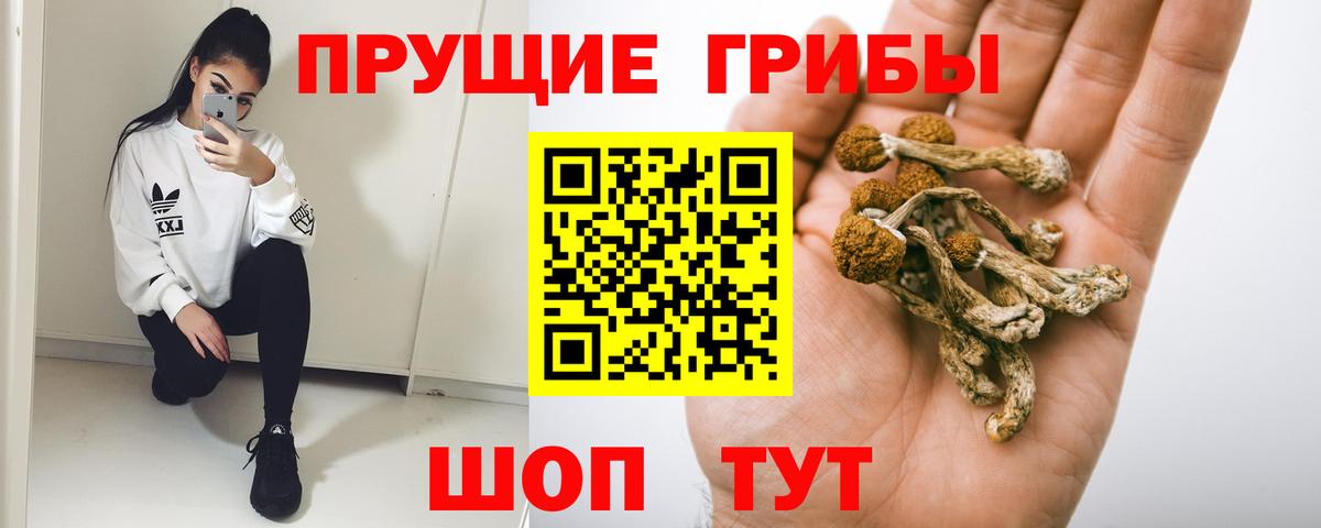 Серпухов  Псилоцибиновые грибы MAGIC MUSHROOMS  Вход с VPN 